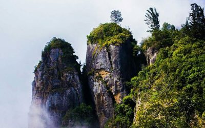 Outstation Trip from Coimbatore – 6 Days / 5 Nights